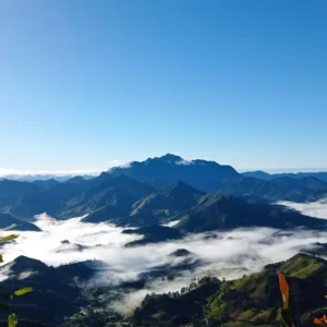 Picos da Caledônia