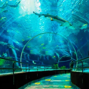 Bio Parque + Aquário